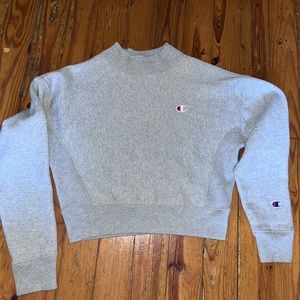 Gray mockneck champion sweater.